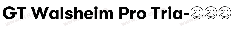 GT Walsheim Pro Tria字体转换